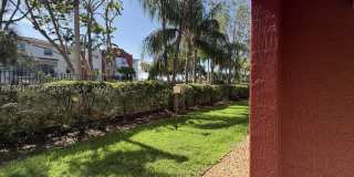 3335 Palomino Dr Gallery 12