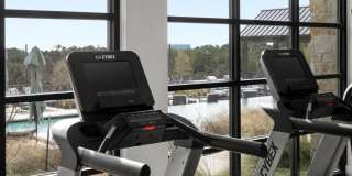 The Markson Gallery 39