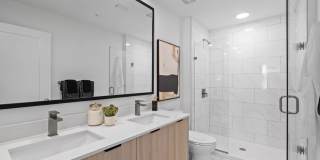 Aster & Links Gallery 100