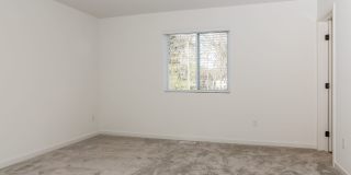 New Construction Gallery 22