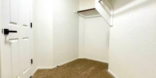 1326 Pine Terrace Court Gallery 32