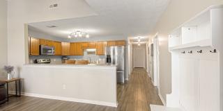 228 Dalton Place Way; Knoxville TN 37912 228 Dalton Place Way; Knoxville TN 37912 Gallery 6