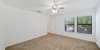 12811 HUNTING BEAR Gallery 19