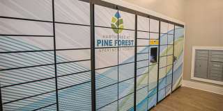 Hawthorne at Pine Forest Gallery 39