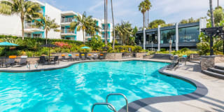 Ocean Club Gallery 12