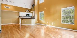 9156 LAKE CHASE ISLAND WAY 9156 LAKE CHASE ISLAND WAY Gallery 17