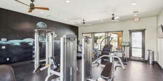 Hollister Village Gallery 5