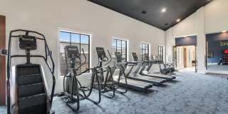 The Stafford Gallery 3