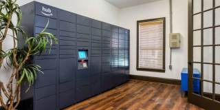 The Pines at Spring Rain Gallery 37