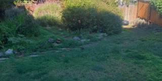 14 Leona Terrace Gallery 15