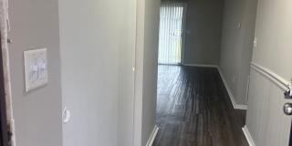 Black Pine Flats Gallery 17