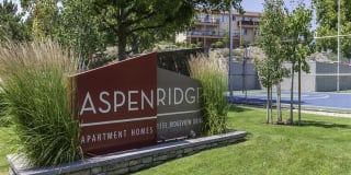 Aspen Ridge Gallery 1