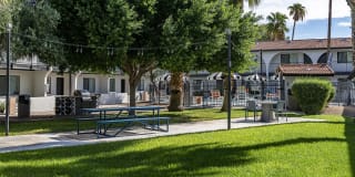 Polanco Apartments Gallery 25