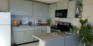 1827 Halekoa Dr Gallery 16