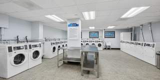 ReNew Mt. Vernon ReNew Mt. Vernon Gallery 52