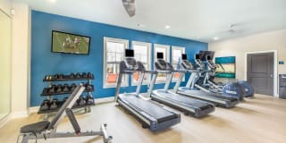 Element Carolina Bay Element Carolina Bay Gallery 36