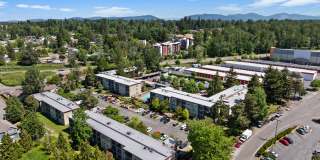 The Aviator apartments Gallery 40