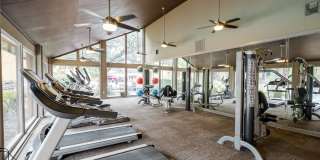 Tuscany Park Apartments Gallery 34