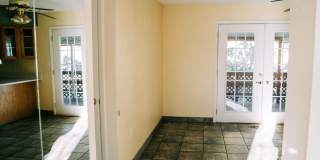 SMALL DOG FRIENDLY!!!  Meadow Street House Gallery 10