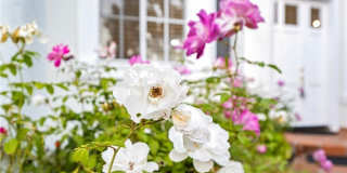 30786 La Mer Gallery 3