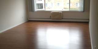 Willows on France Gallery 66