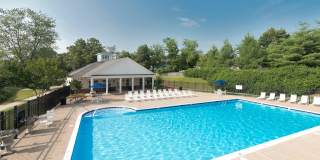 North Woods At The Four Seasons Gallery 8