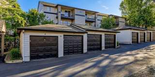 Scott Mountain Apartments Gallery 7