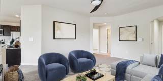 Austin Springs Gallery 8