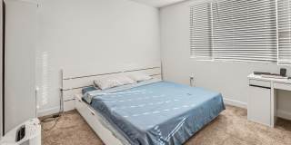 2152 Senita Drive - 1 Gallery 3