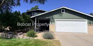 Beautiful 4-Bedroom West Side Carson City Home Gallery 1