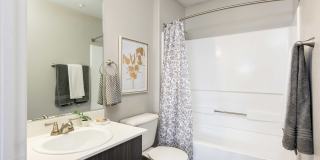 Amara Spring Valley Apartments Gallery 11