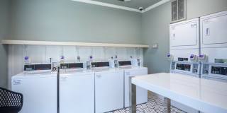 Dogwood Creek Gallery 18