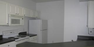 Unbeatable Value! 1BR Condo in Gated Palms Club – Pool, Gym & More! Gallery 11