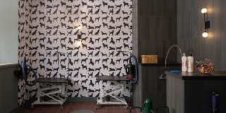 Levels at LoSo Gallery 39