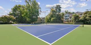 The Grove at Greenleaf Gallery 16