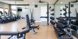 Canopy at Babcock Ranch Gallery 38