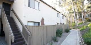 10332 Caminito Aralia Gallery 4