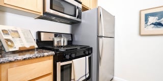 The Orsini Gallery 67