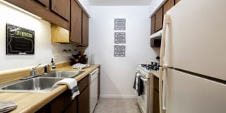 University Park Apartments Gallery 1