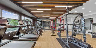 Anthem on Ashley Gallery 22