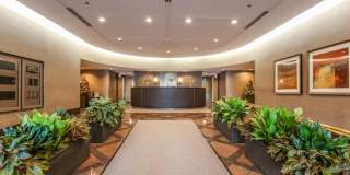 480 North McClurg Ct. Gallery 4