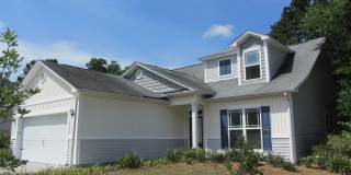 Palmetto Pointe Gallery 1