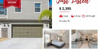 1591 Roseville Street - 1 Gallery 1