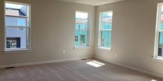 14122 GYPSUM LOOP Gallery 39