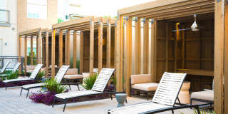 Gallery at Domain Gallery 41