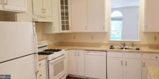 464 WINDING ROSE DR Gallery 20