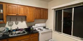 1786S Gallery 37