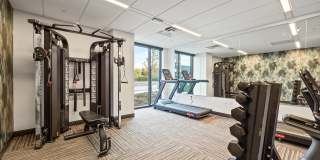 The Theodore Apartments - Senior & Affordable Housing Gallery 7