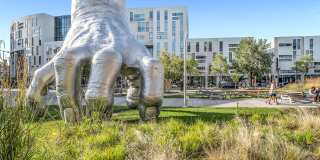 University East Apartments University East Apartments Gallery 33