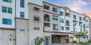 Vineyards Gallery 39